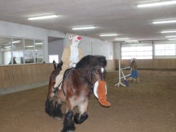img_5855_web